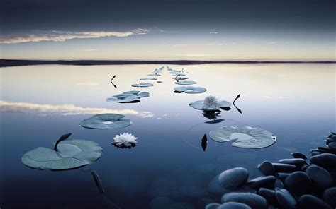  Eungjin-do: En Stilla Reflektion av Zen-Buddismen och Naturns Harmoniska Flod